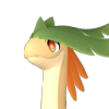 Braloha image