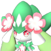 Petallia image