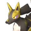 Rayhound image